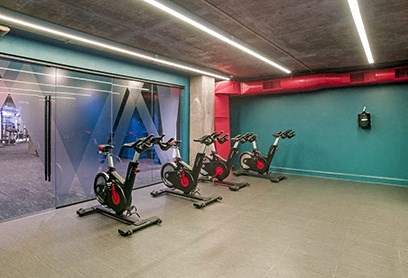 a group of spin bikes in a gym with a blue wall and a glass door