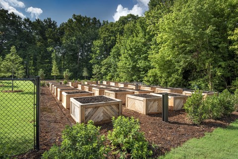 Symphony At Suwanee Creek