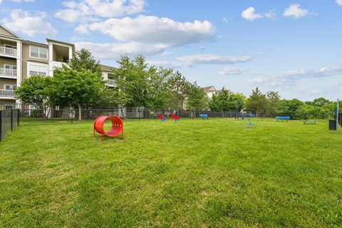 A playground with a red slide and a blue slide in a grassy area.