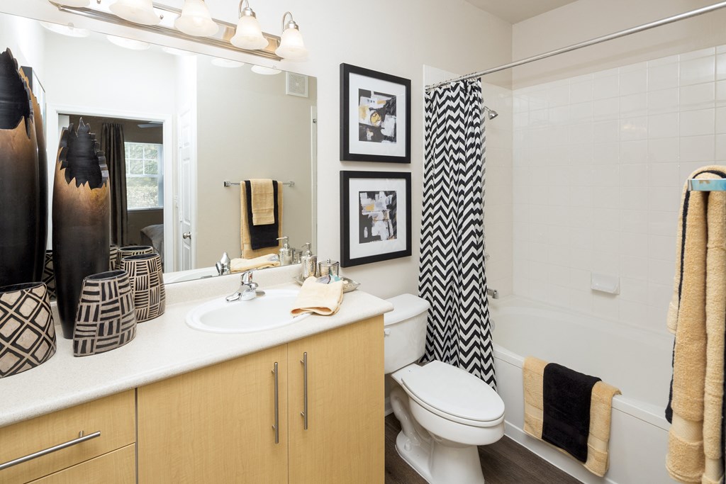 a bathroom with a sink and a toilet and a shower