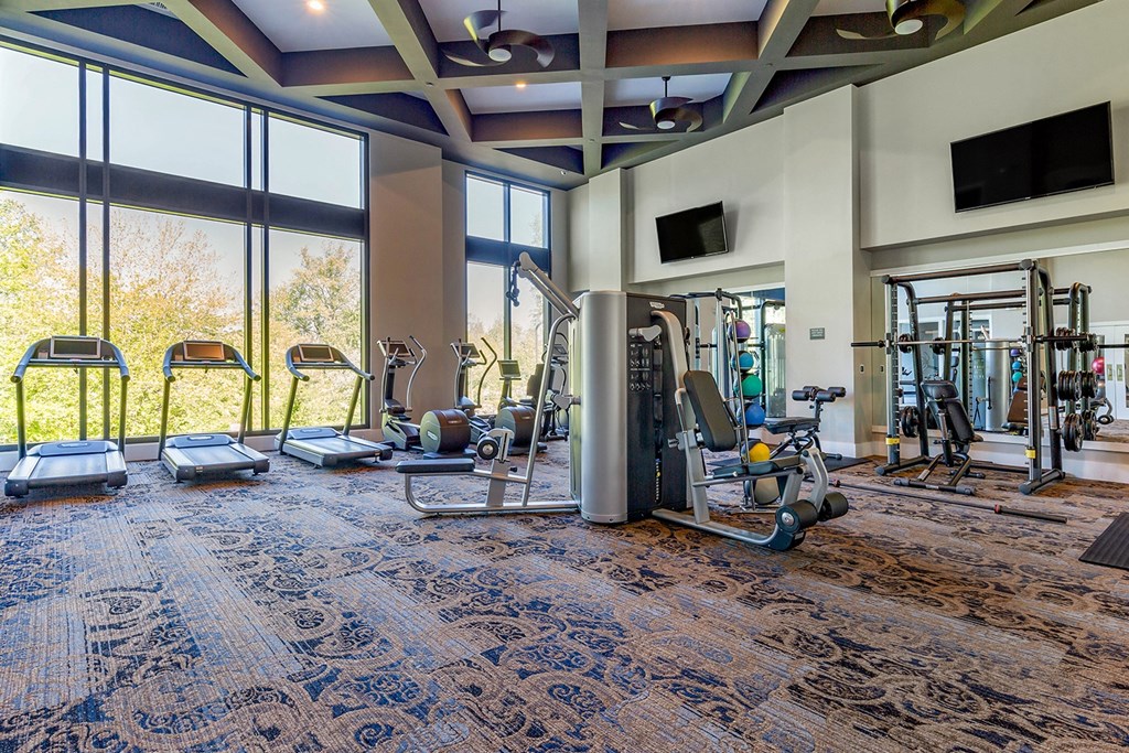 the fitness center with weights and cardio machines at the condos