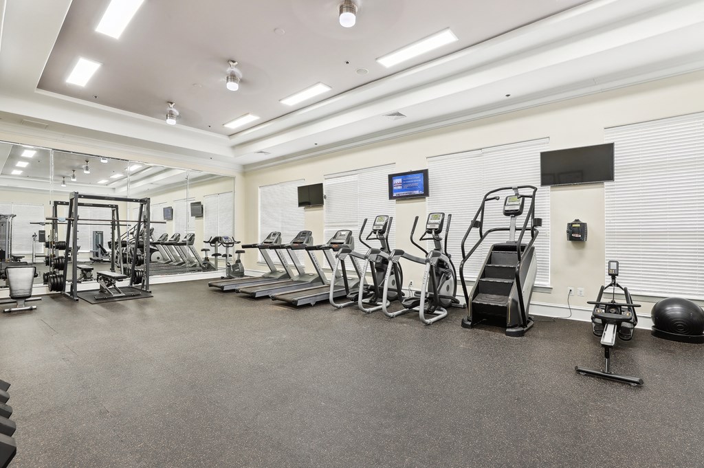 the gym is equipped with cardio equipment and weights