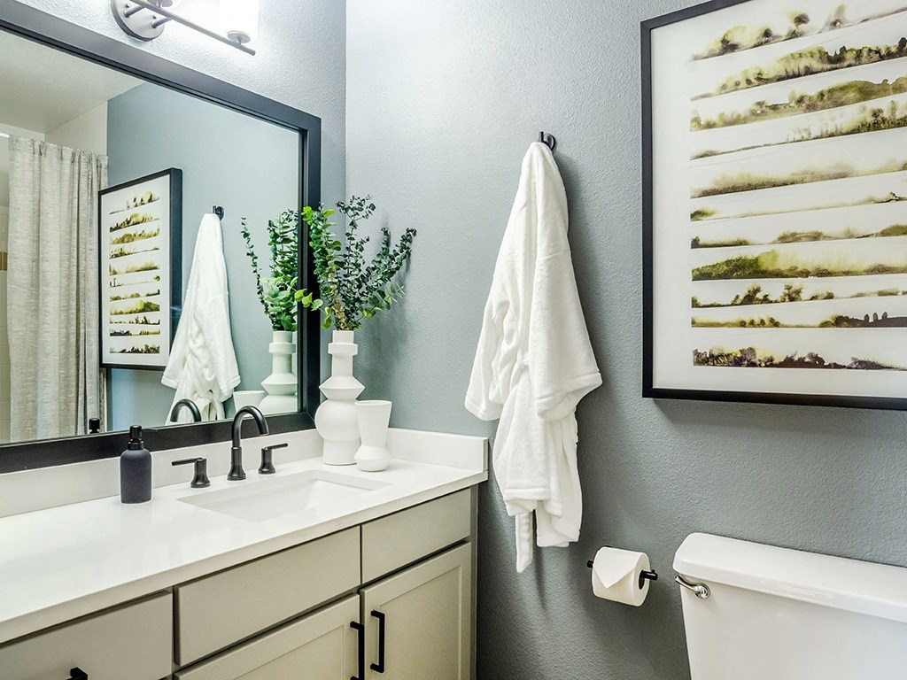 a bathroom with a sink and a mirror and a toilet