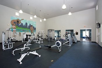 8700 Brodie Lane 1-3 Beds Apartment for Rent - Photo Gallery 11