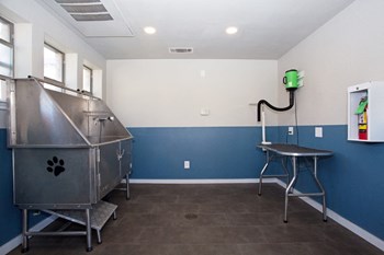 8700 Brodie Lane 1-3 Beds Apartment for Rent - Photo Gallery 15