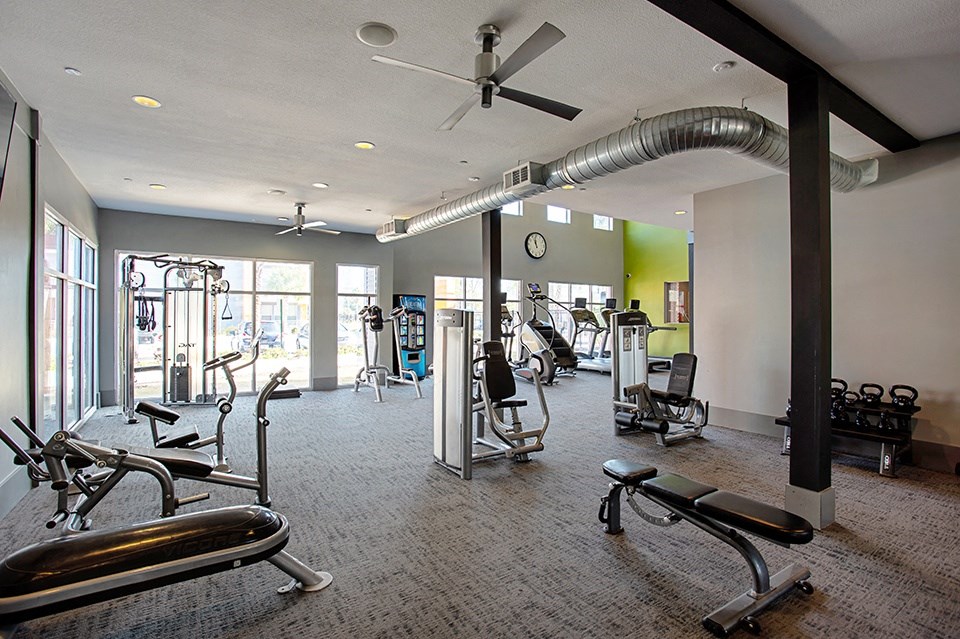 A gym with a variety of equipment including treadmills, weights, and a bench press.