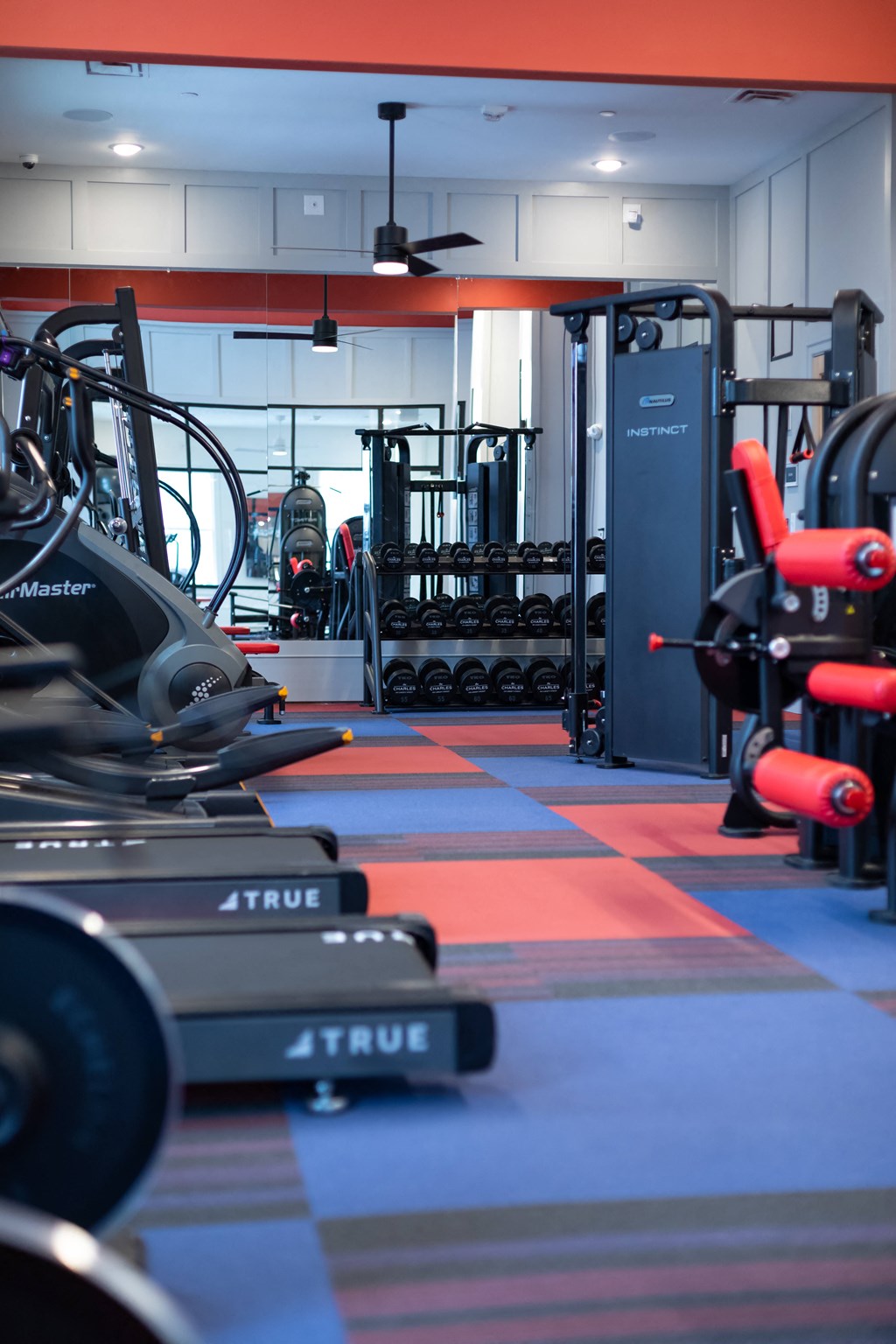 a gym full of exercise equipment