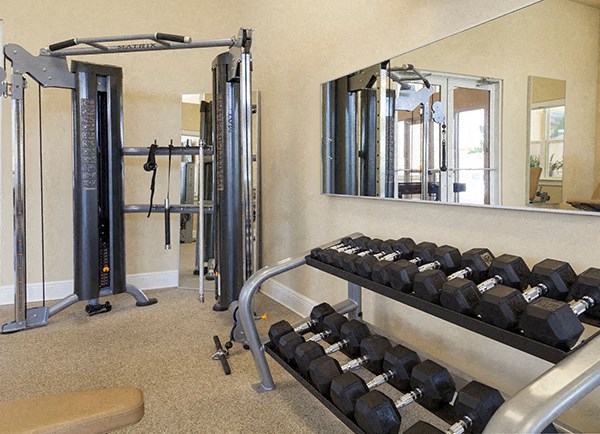The Gate Apartments Fitness Center Free Weights