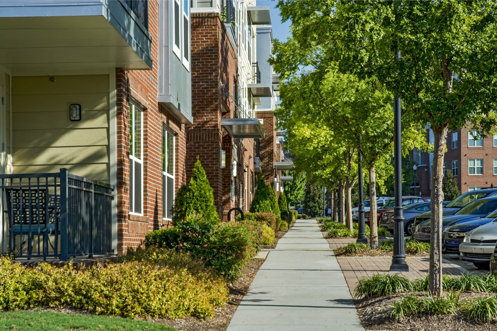 A tree-lined walkway in front of apartment buildings.