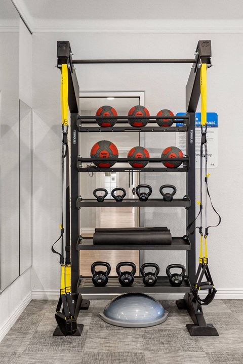 a gym with weights on a rack in a room