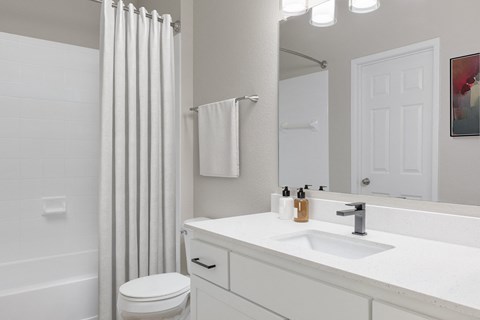 a bathroom with a sink and a shower and a toilet