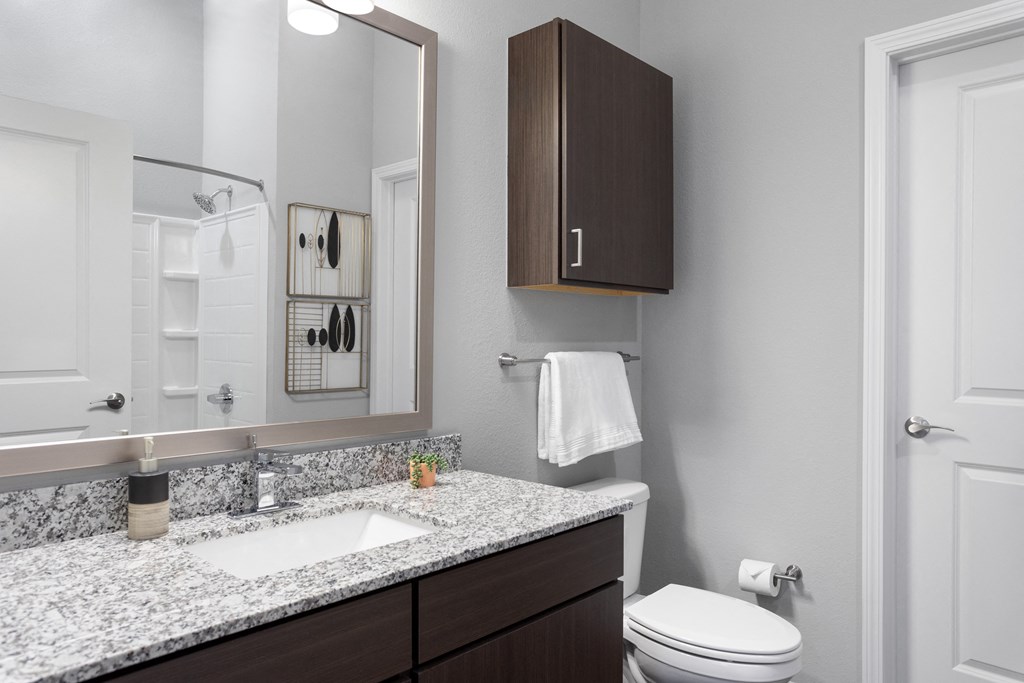 a bathroom with a sink and a toilet and a mirror