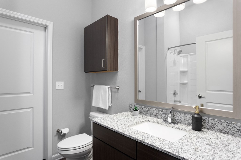 a bathroom with a sink and a mirror and a toilet