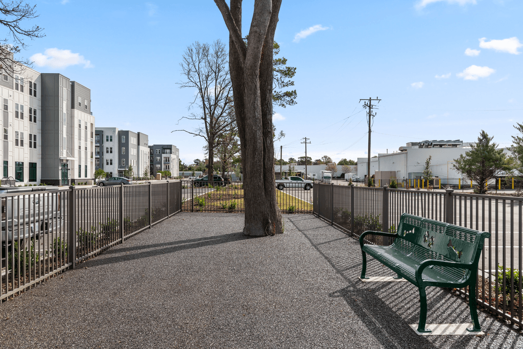 A green bench sits on a paved walkway next to a tree.