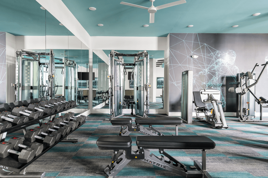 A gym with a variety of equipment including treadmills, weights, and a bench.