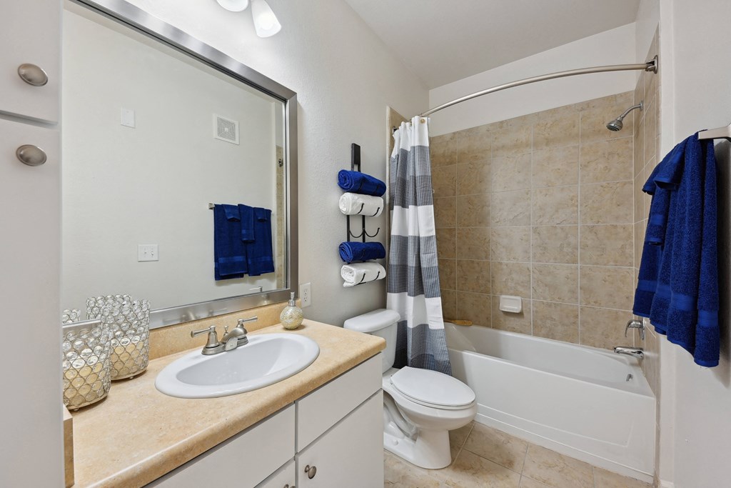 a bathroom with a sink and a toilet and a bath tub