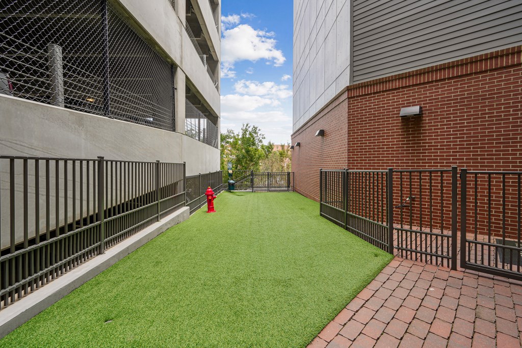 the yard is fenced off with a red fire hydrant