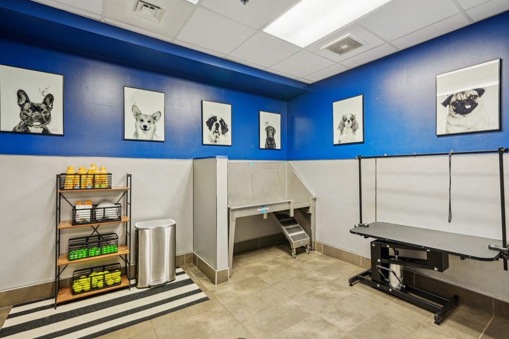 a veterinary exam room with a exam table and a blue wall with pictures of dogs