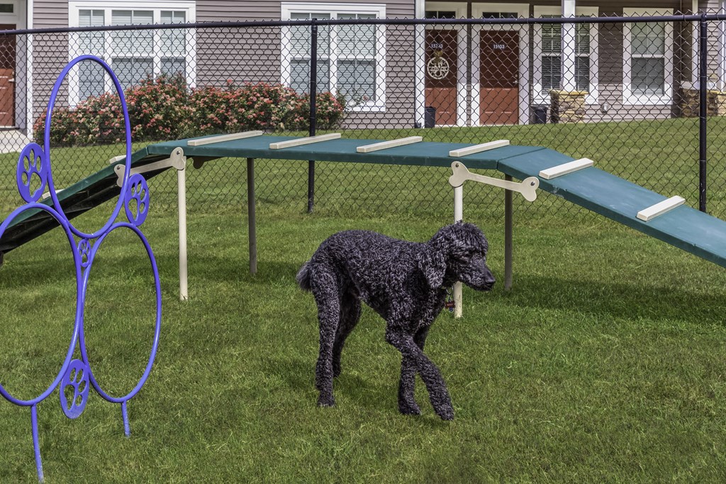 exterior community dog park