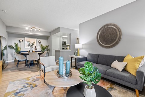 A living room with a grey couch and a green plant on the coffee table.