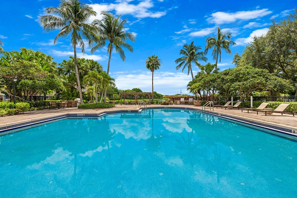 A large swimming pool surrounded by palm trees.