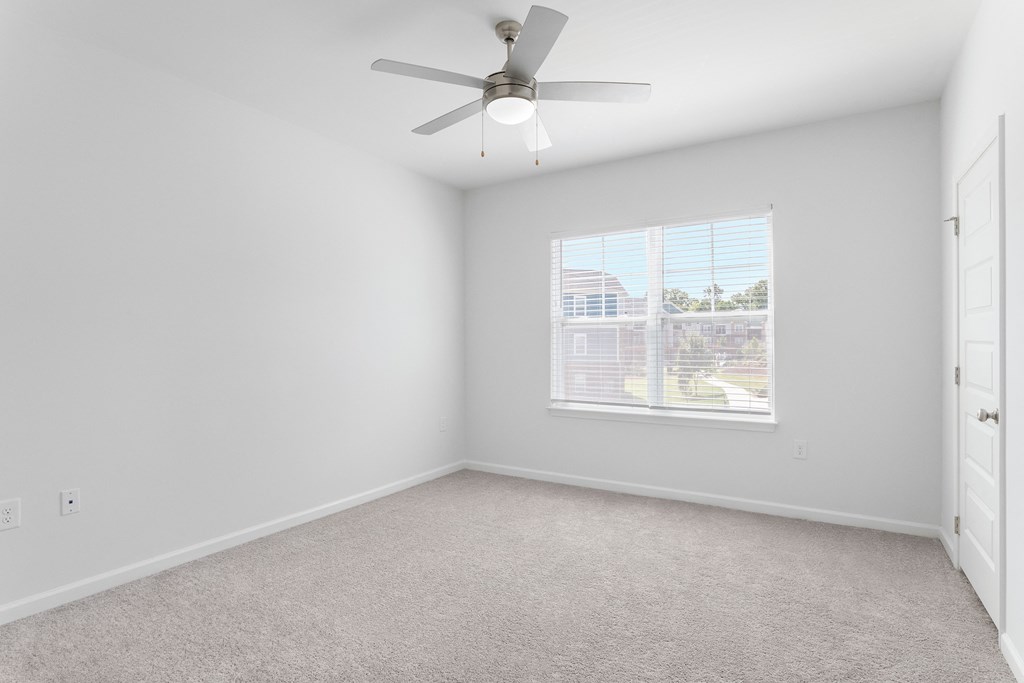 Treeline Timber Creek