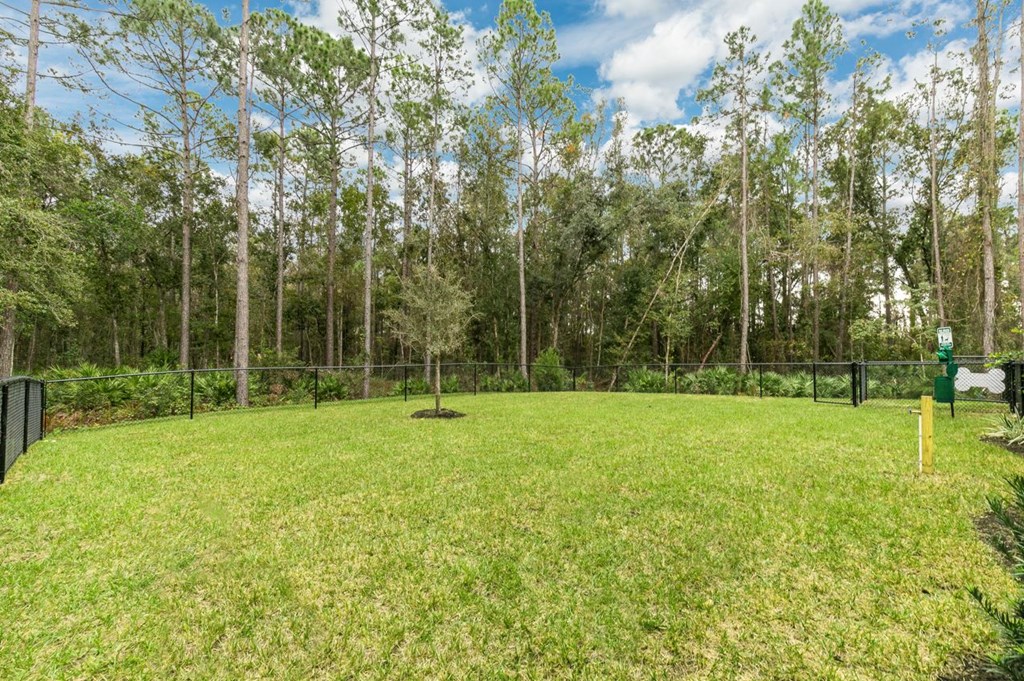 a yard with a fire hydrant in the middle of a field