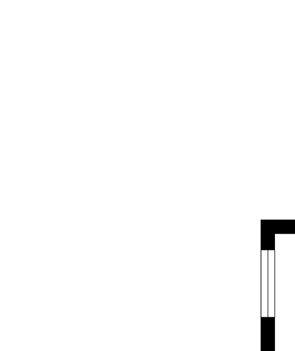 Villages at McCullers Walk 2D floorplan
