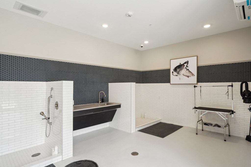 a pet spa with a shower and dryer