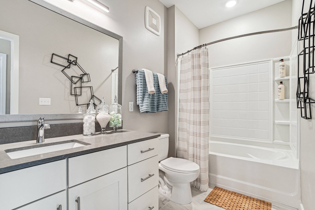 a bathroom with a shower toilet and sink and a mirror