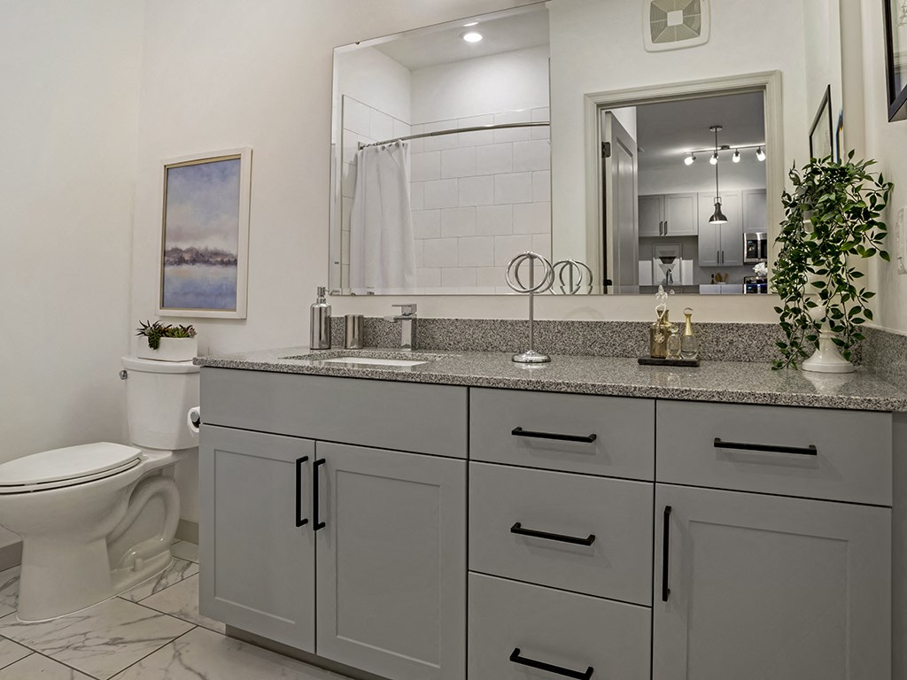 A bathroom with a toilet, sink, and a mirror.