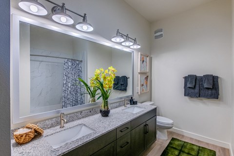 the preserve at ballantyne commons community bathroom with dual sinks and large mirror