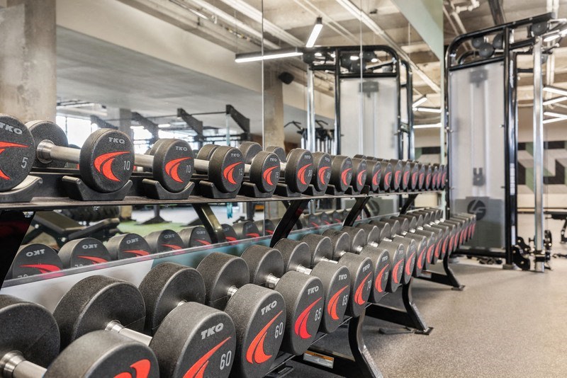 a row of dumbbells in a gym