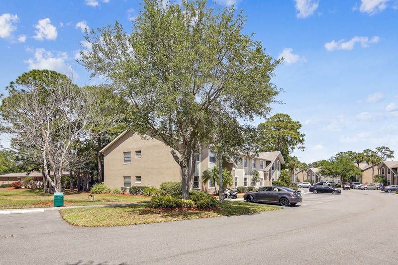 A tree in front of a building with a car parked in the front.