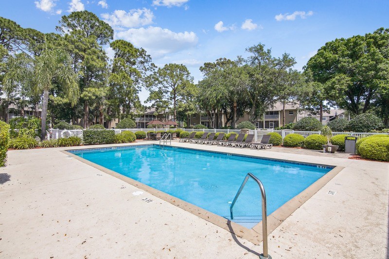 A swimming pool surrounded by trees and bushes.