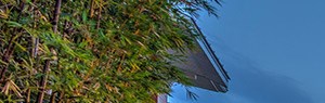 Bell Partners Inc Apartments In Greensboro Nc