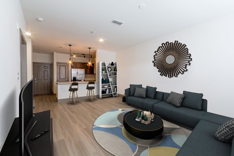 A living room with a grey sofa and a black television.