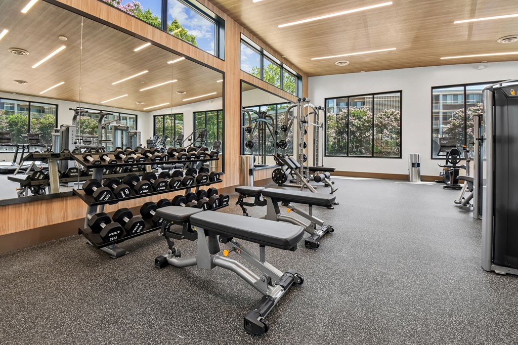 A gym with a variety of equipment including dumbbells, benches, and treadmills.