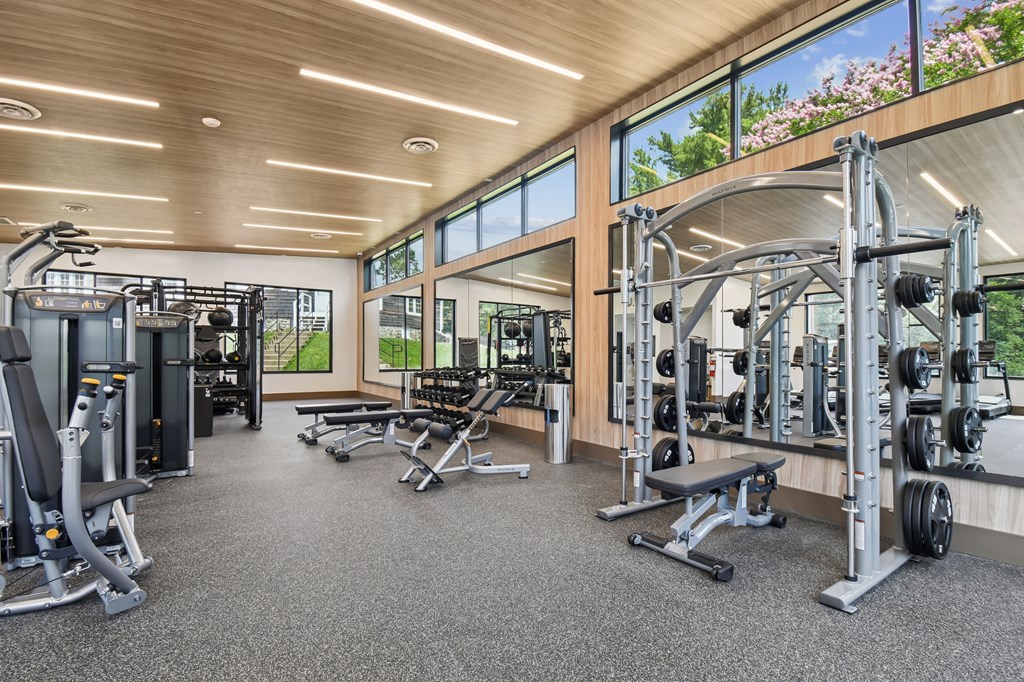 A spacious gym with a variety of equipment and a view of greenery outside the windows.