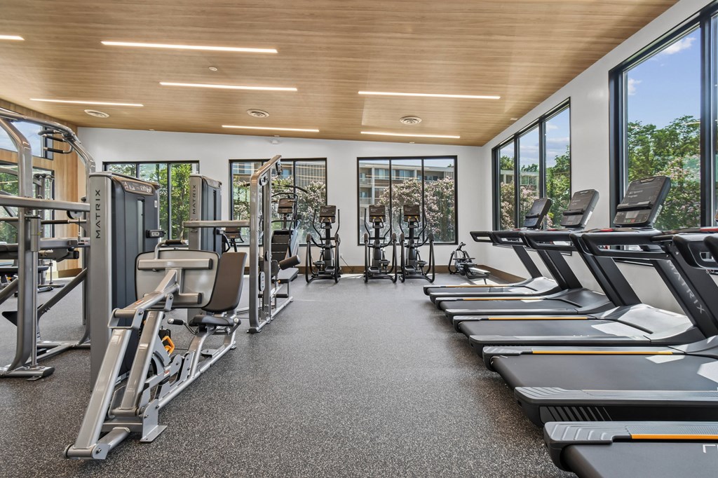 A gym with treadmills, weights, and exercise equipment.