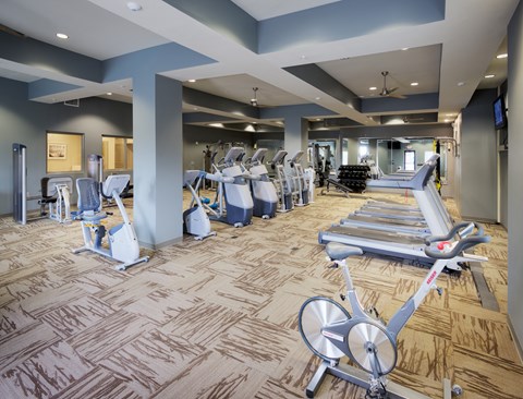 a gym with cardio machines and weights on a wooden floor