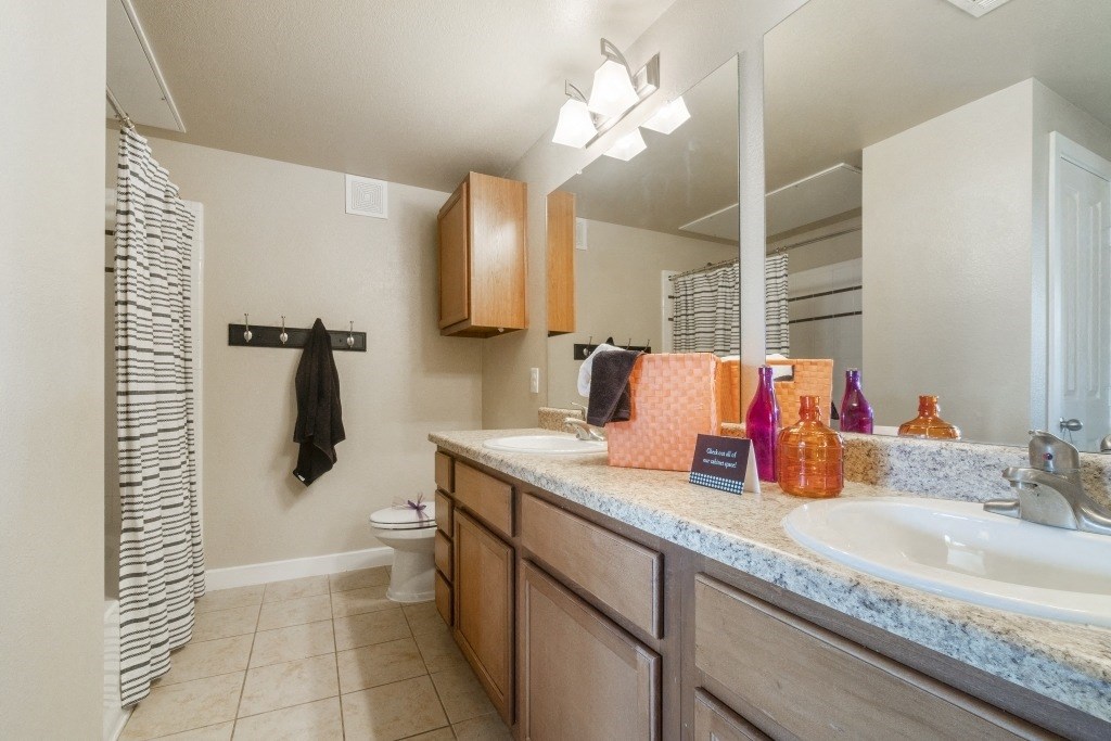 a bathroom with a sink and a toilet and a mirror
