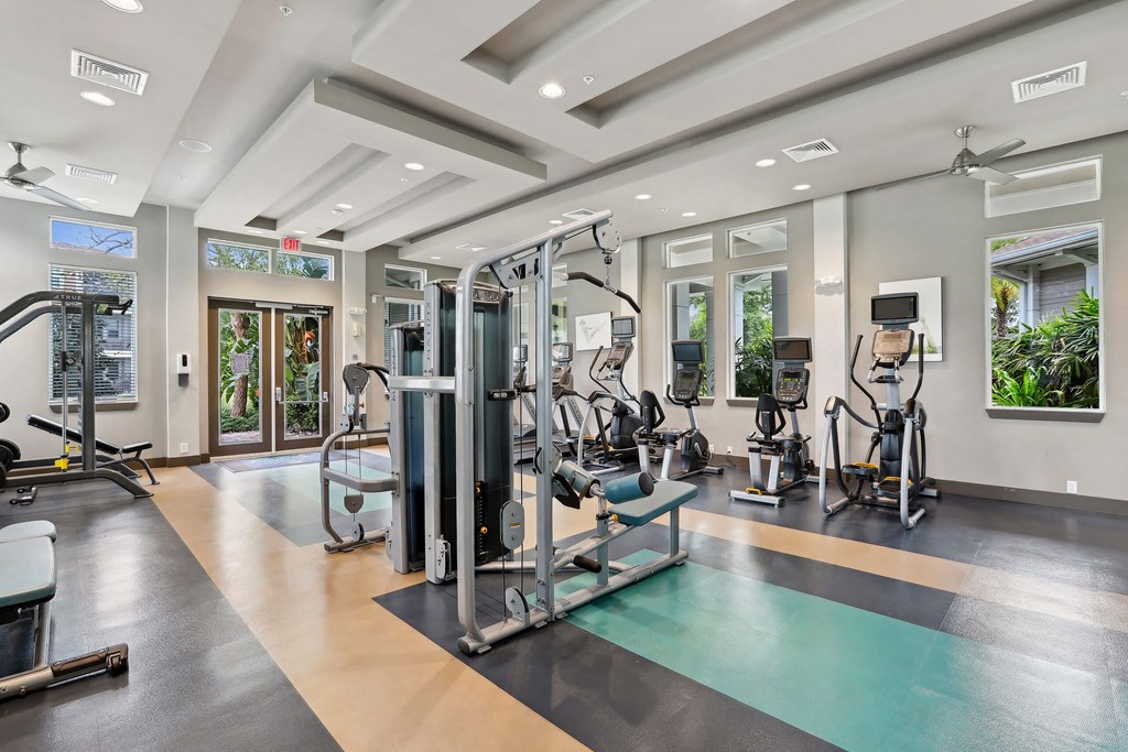 the gym at 1861 muleshoe road