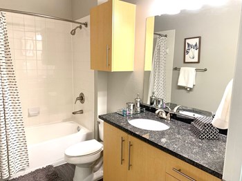 The Ashborough Apartment Bathroom - Photo Gallery 5