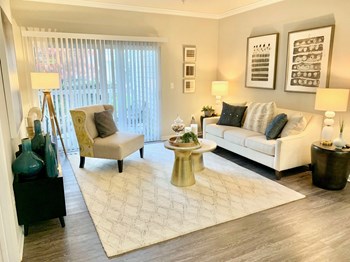 The Ashborough Apartment Living Room - Photo Gallery 2