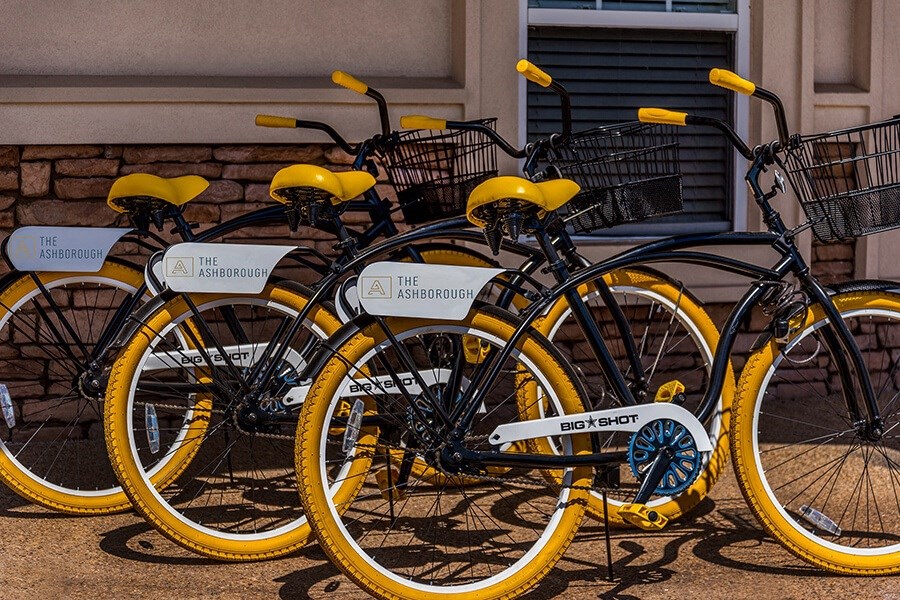 The Ashborough Bike Share Program