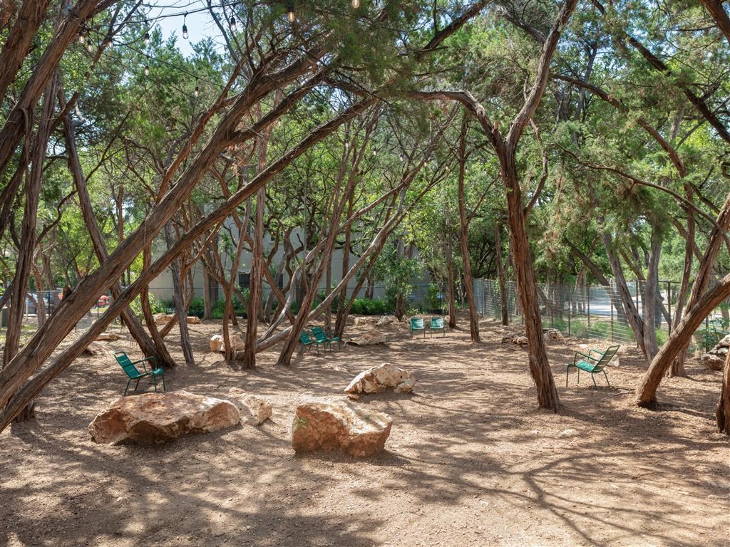 a park with trees and rocks and chairs