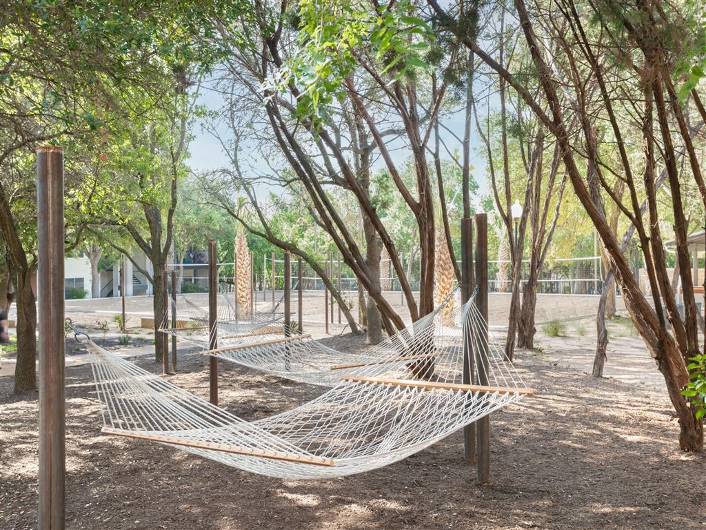 a hammock in the shade of trees in a park