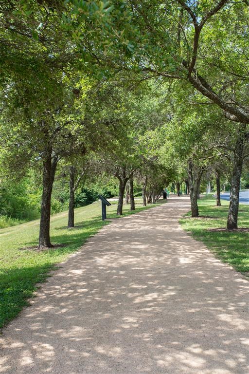 a tree lined path in a park