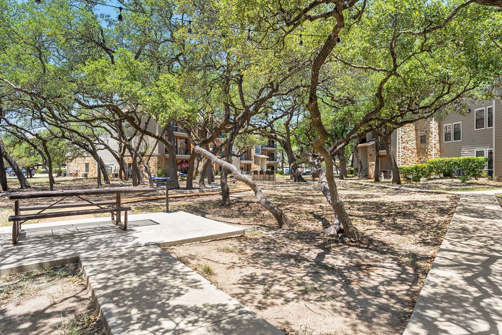 a park with trees and a picnic table